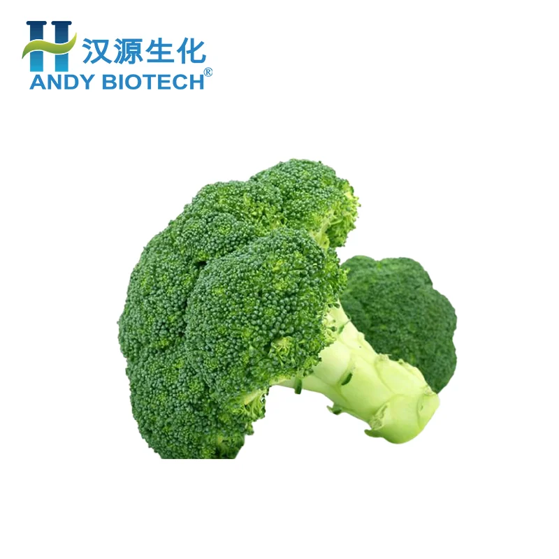 100% Pure Natural Broccoli Extract 13% Glucoraphanin Powder Broccoli Seed Extract