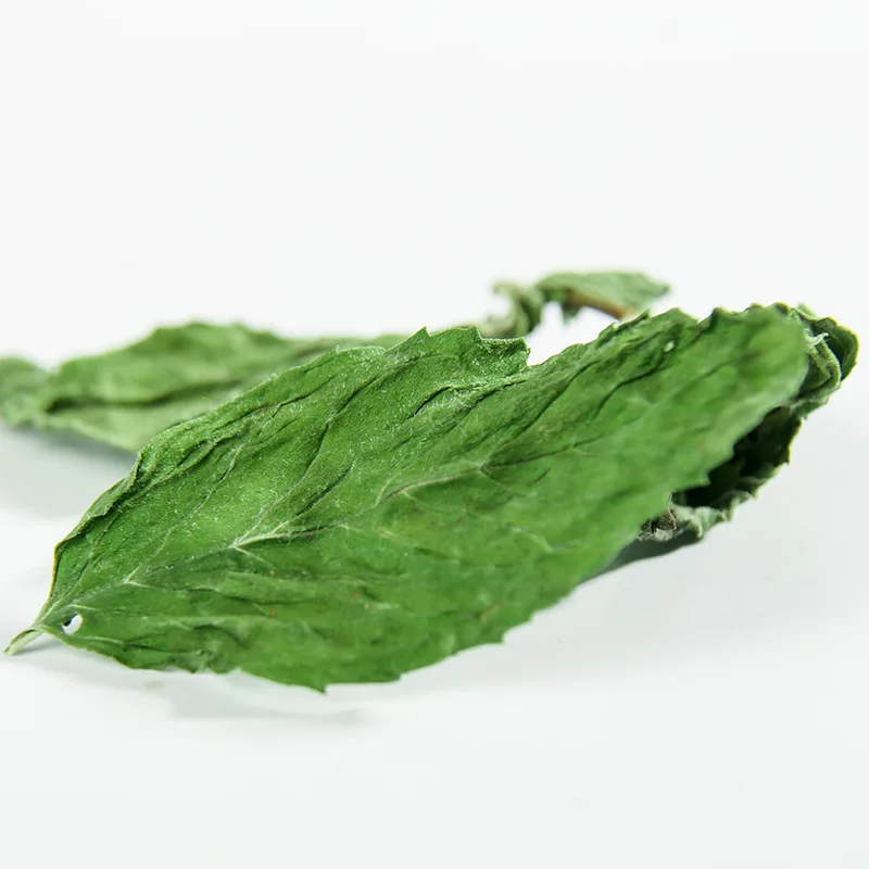 Chinese Herbs Dried Mint Leaf Loose Herbal Tea Peppermint Spearmint Mint Leaf