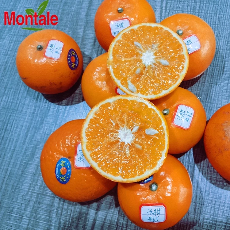 Montale Welcome Famous Good Taste Fresh Wokan Mandarin Orange