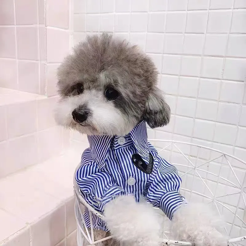INS Pet Dog Blue And White Striped Heart Shirt With Owner Thin Shirt For Spring/summer