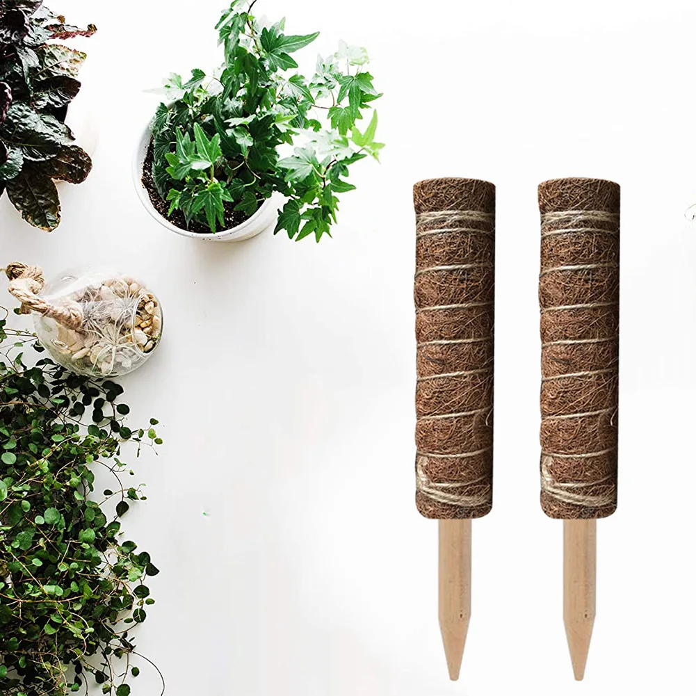 Hot Selling Self Watering Moss Pole 12/16/20 Inches Coir Totem Pole Plant Support Coir Poles for Creeper