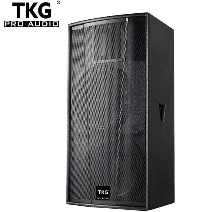 TKG 1000watt dual 15 inch karaoke amplifier speaker dj speaker cabinet F25 speaker