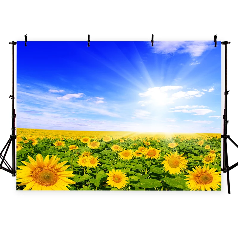 background 3D Sunflower backdrop Print highend Thin Vinyl Customize Party Wall Decoration Wallpaper Photo Shoot
