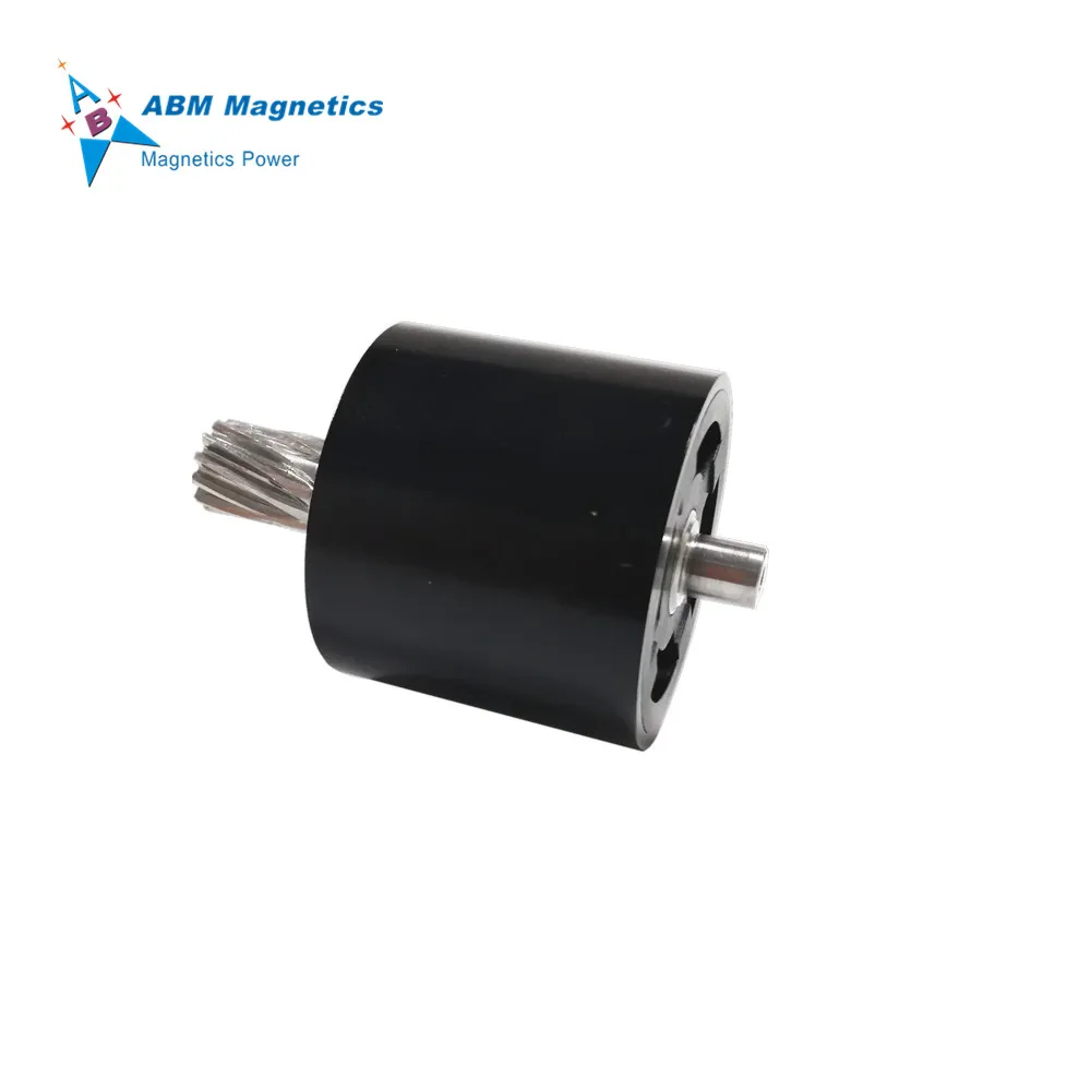 High Rpm Water Pump Magnetic Rotor, Fuel Pump Magnetic Rotor, Oil Pump Ndfeb Magnet Industrial Magnet