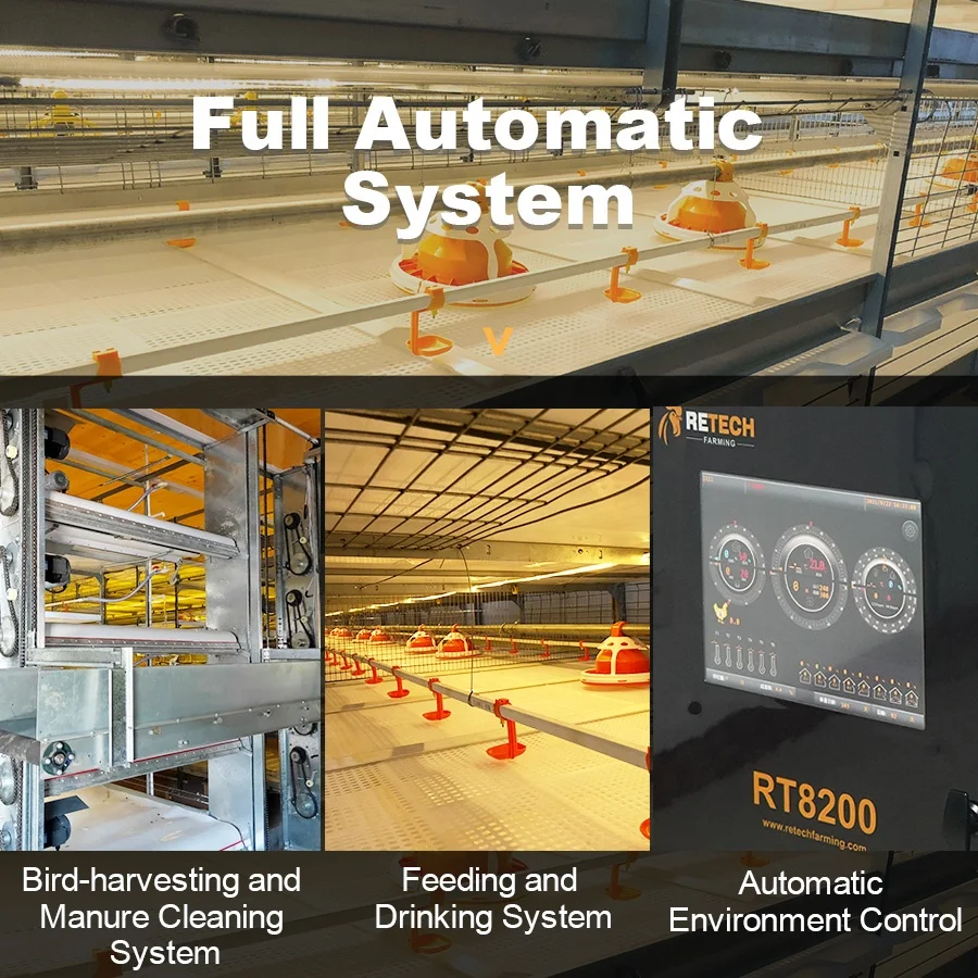 Automatic Poultry Farm Equipment Battery Cage for Broiler