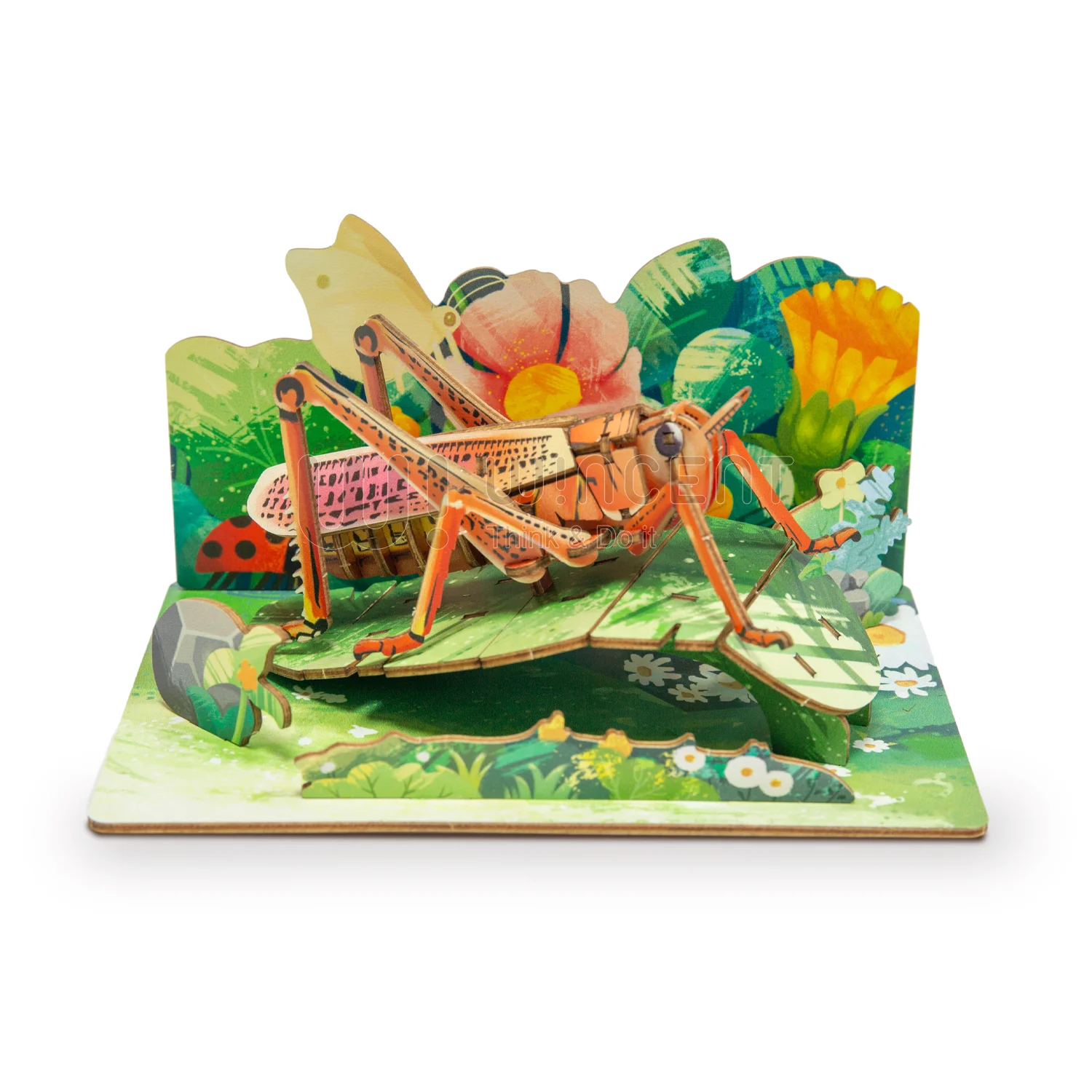 Wholesale High Quality Science Teaching Toy Puzzels New Montessori Toys 2024 Educ for Sale