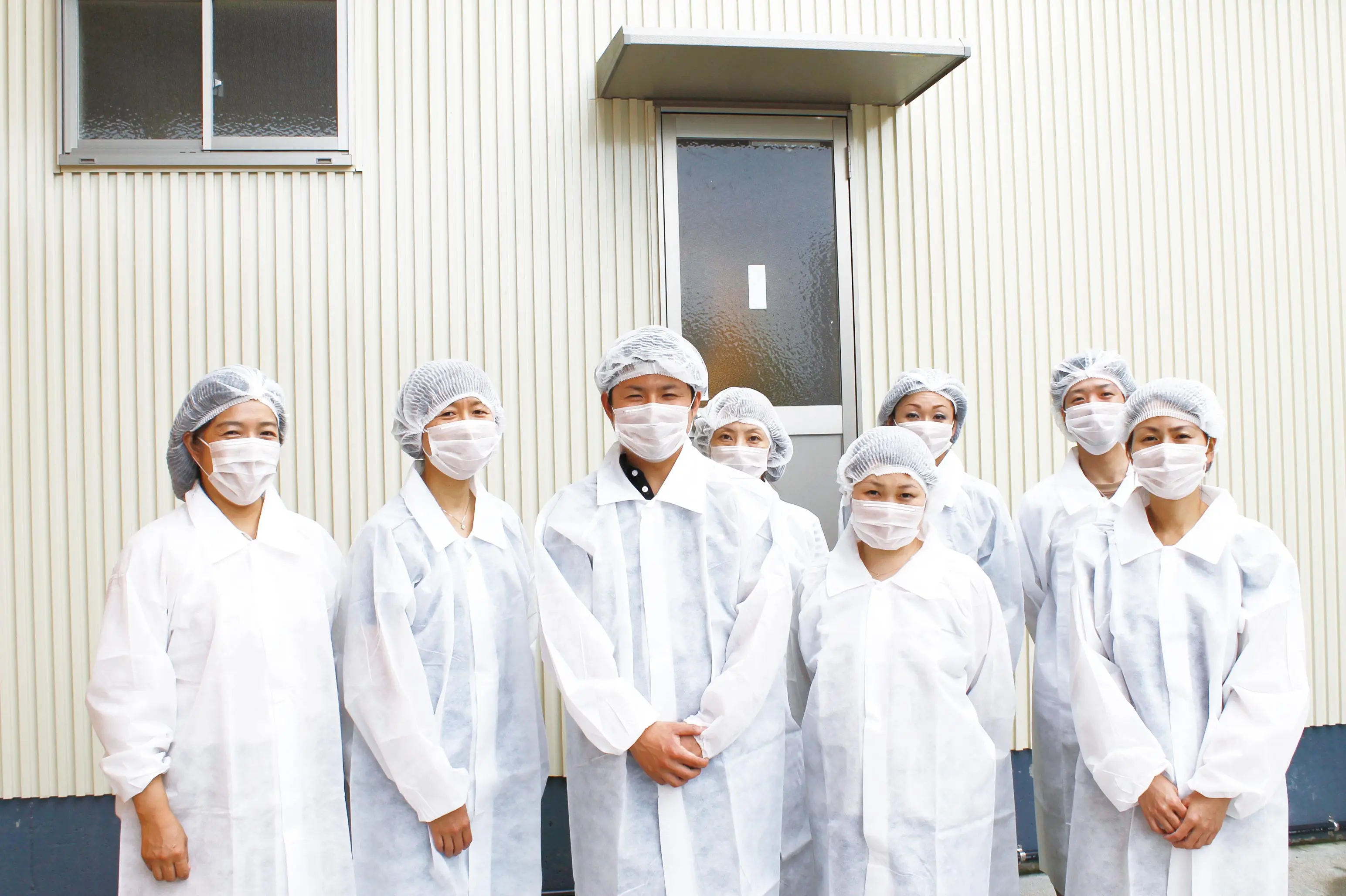 Japanese Traditional Food Basashi Raw Horse Fillet Steak Meat for Sale