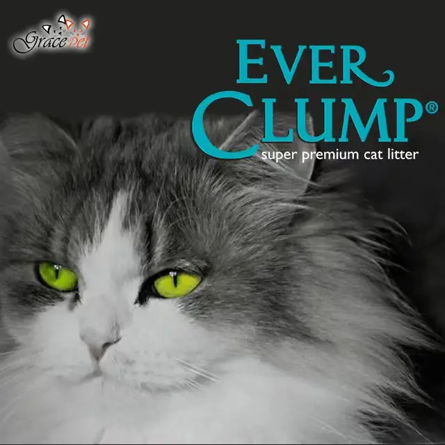 Factory price  Premium Zeotilite added 1-2mm Irregular shape Arena para gatos easy to scoop-ever clump super premium cat litter