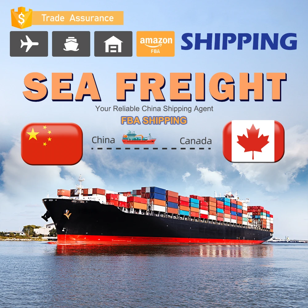 Ali Express Sea Freight Forwarder Door to Door Shipping agent to North America Mexico Canada US Amazon FBA