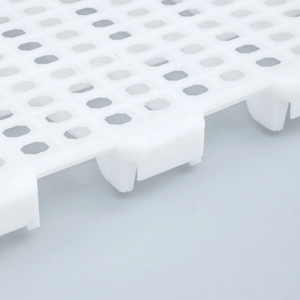 Modern farm poultry equipment Plastic poultry Leakage Dung Board /  chicken slatted floor