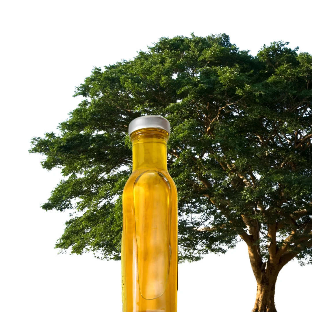 Amazon Rainforest Copaiba Balsam Tree Resin Oil Skin Care Antioxidant Product Allergy Relief Essential Oil