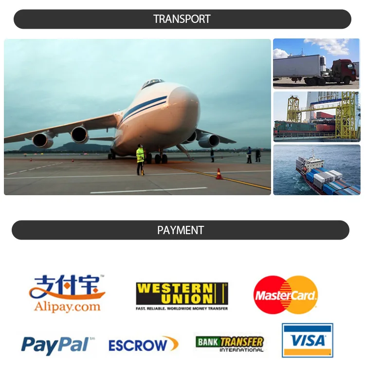 Fast Shipping Logistics In Chongqing/guangzhou China To Russia Railway Freight