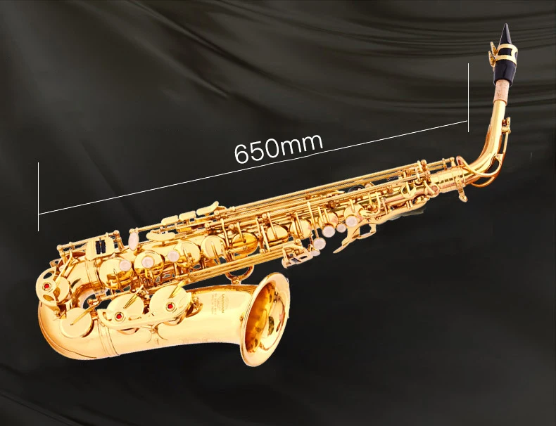 Gold Lacquer AE-802 Brass Alto Sax Instrument Accessories Professional Eb  China Sax Saxophone Alto