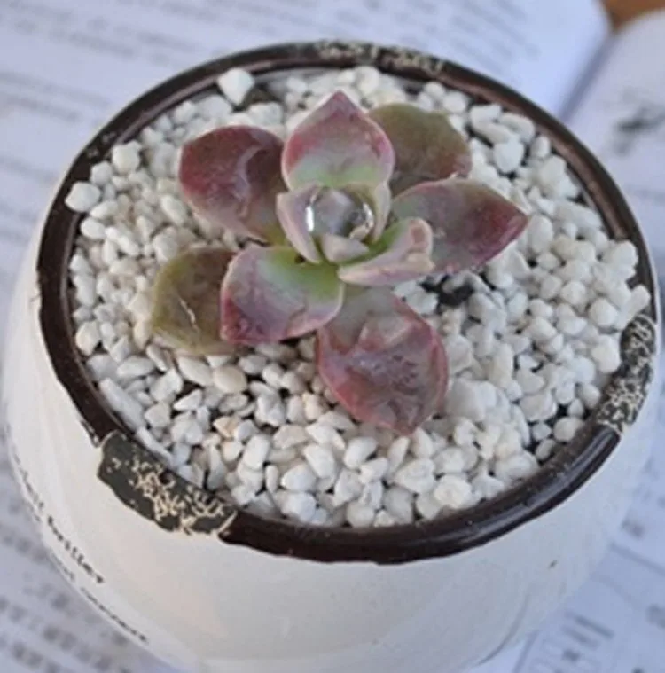 3-6mm agriculture greenhouse growing media perlite expanded