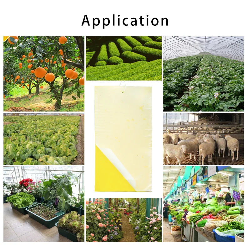 High Cost-effective Yellow PP Sheets Insect Glue Boards Catch Fruit Fly Sticky Bug Traps