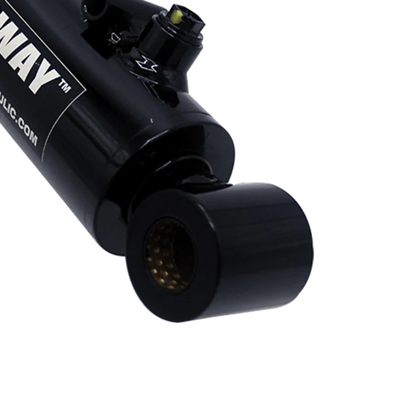 Chinese Factory Stainless Steel Hydraulic Ram Cylinder Double Acting