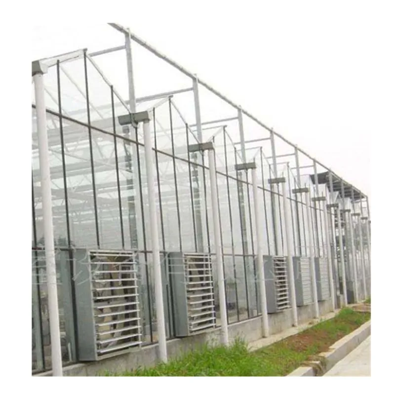  Large Multi-span Commercial Venlo Glass Greenhouse for