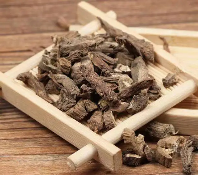 Harvesting Raw Organic Dandelion Root Extract Supplement For Tea Health Detox And Weight Loss Benefits Of Roasted Dandelion Root