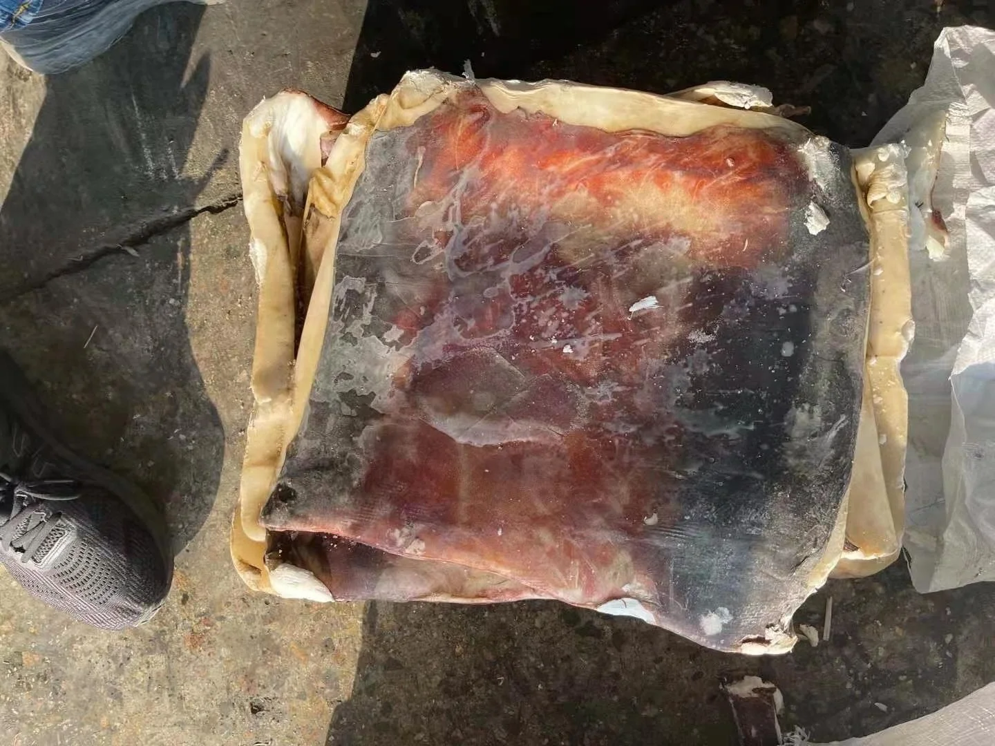 Wholesale Good Sale Seafood Frozen Peru Squid Meat With Skin Giant Squid Fillet