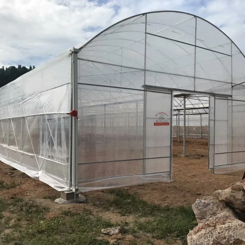 Multi-Use Film Greenhouse for Diverse Crop Rotation Techniques and Yield Improvement Strategies
