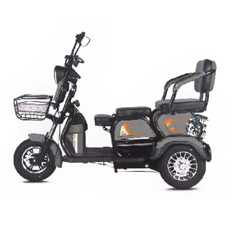 High Quality Adult Cargo Electric Tricycle 3 Wheel Adult Electric Bike LED Light Steel CE LCD Display Aluminum Alloy 80 12 Tube