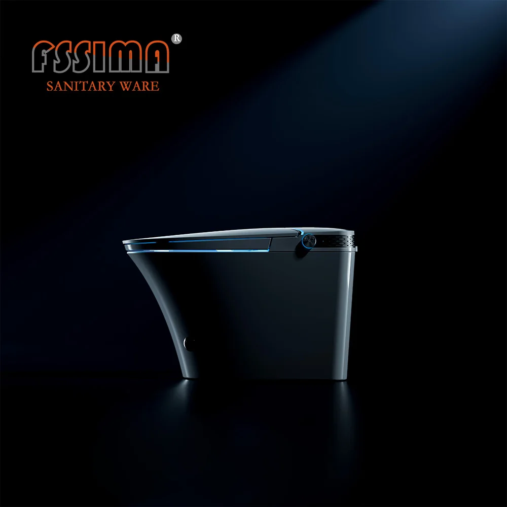 CE Europe ZN-3026 best electric intelligent automatic smart toilet Bathroom white one piece bidet toilet with remote control