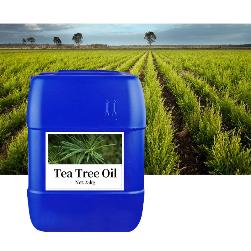Wholesale Bulk Tea Tree Essential Oil Grade Organic Therapeutic Pure Natural for Skin Care