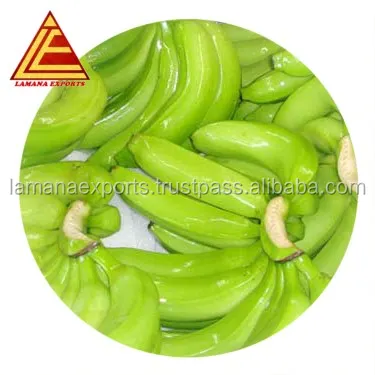 
Fresh Cavendish banana- India for Export Vietnam Malaysia Singapore 