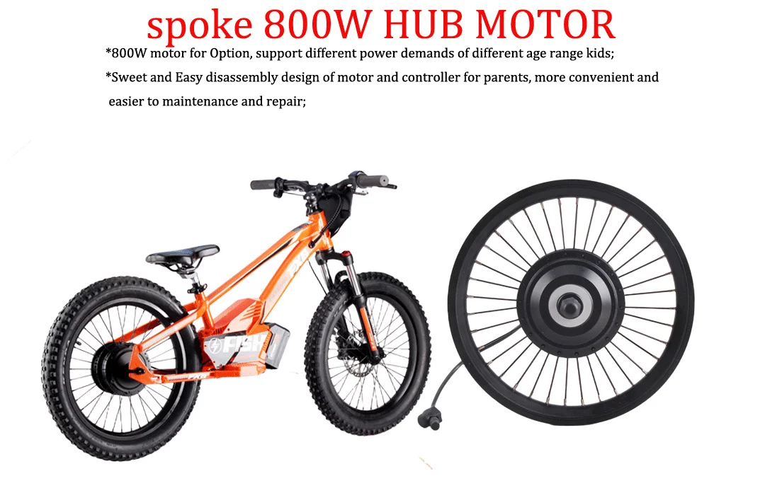 hot 20inch Spoke CN round stainless steel Hydraulic adjustable fork Lithium Battery Electric balance bike