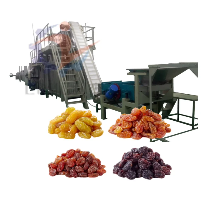 Industry raisin drying machine onion dryer with factory price