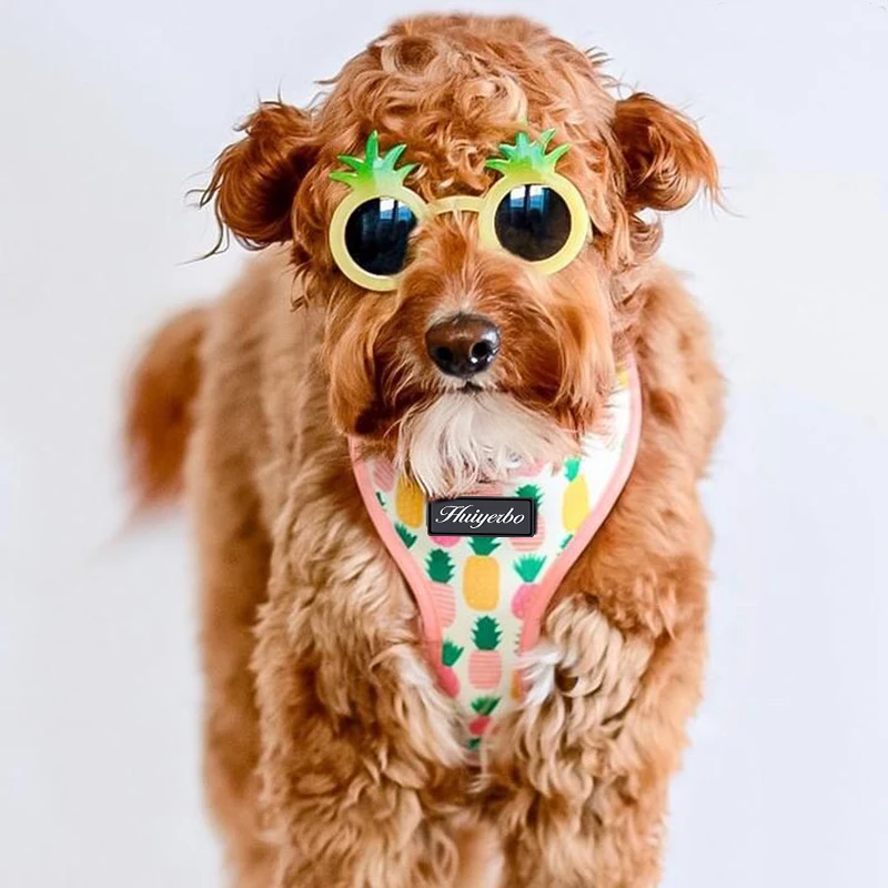 Модный дизайнерский Регулируемый мягкий Регулируемый ошейник для щенка с цветочным принтом, дизайнерская Роскошная шлейка и поводок для собак