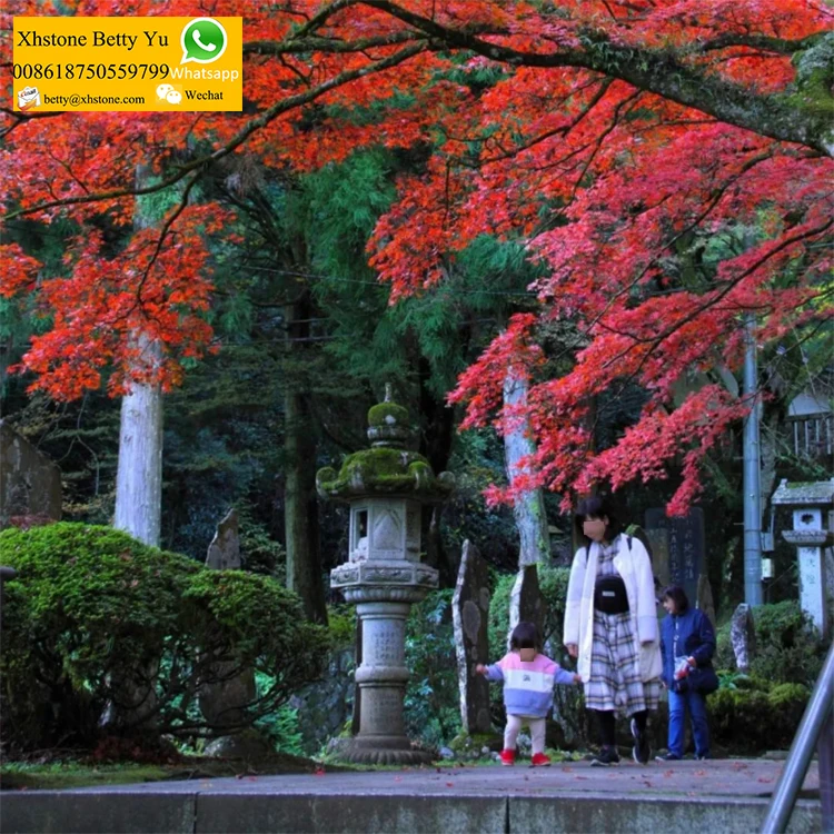 Japanese Style Outdoor Garden Granite Stone Carving KASUGA Lanterns Ornaments Pagoda Solar Light For Sale