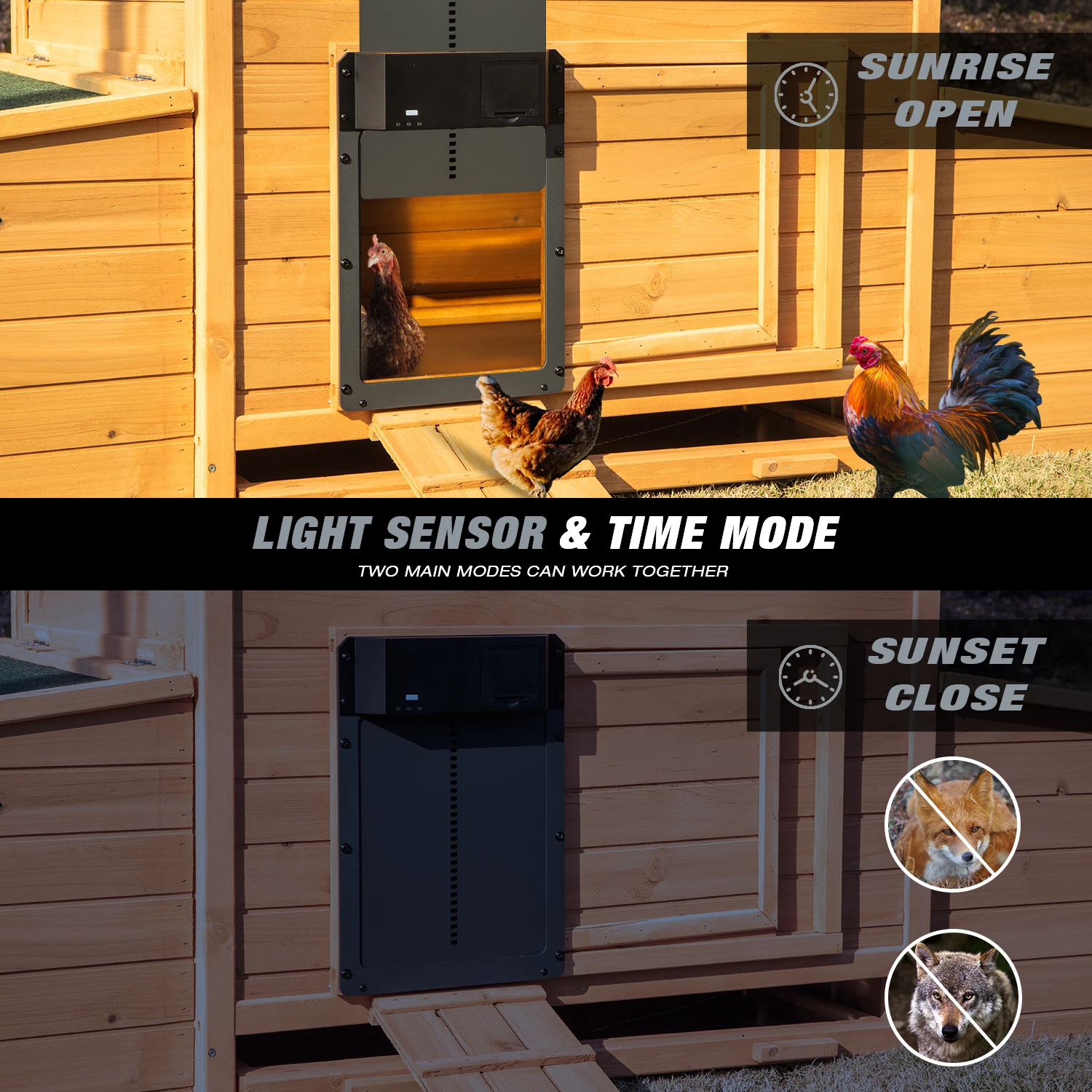 USA In Stock chicken coop door winter chicken coop door opener youtube best automatic chicken coop door 2021