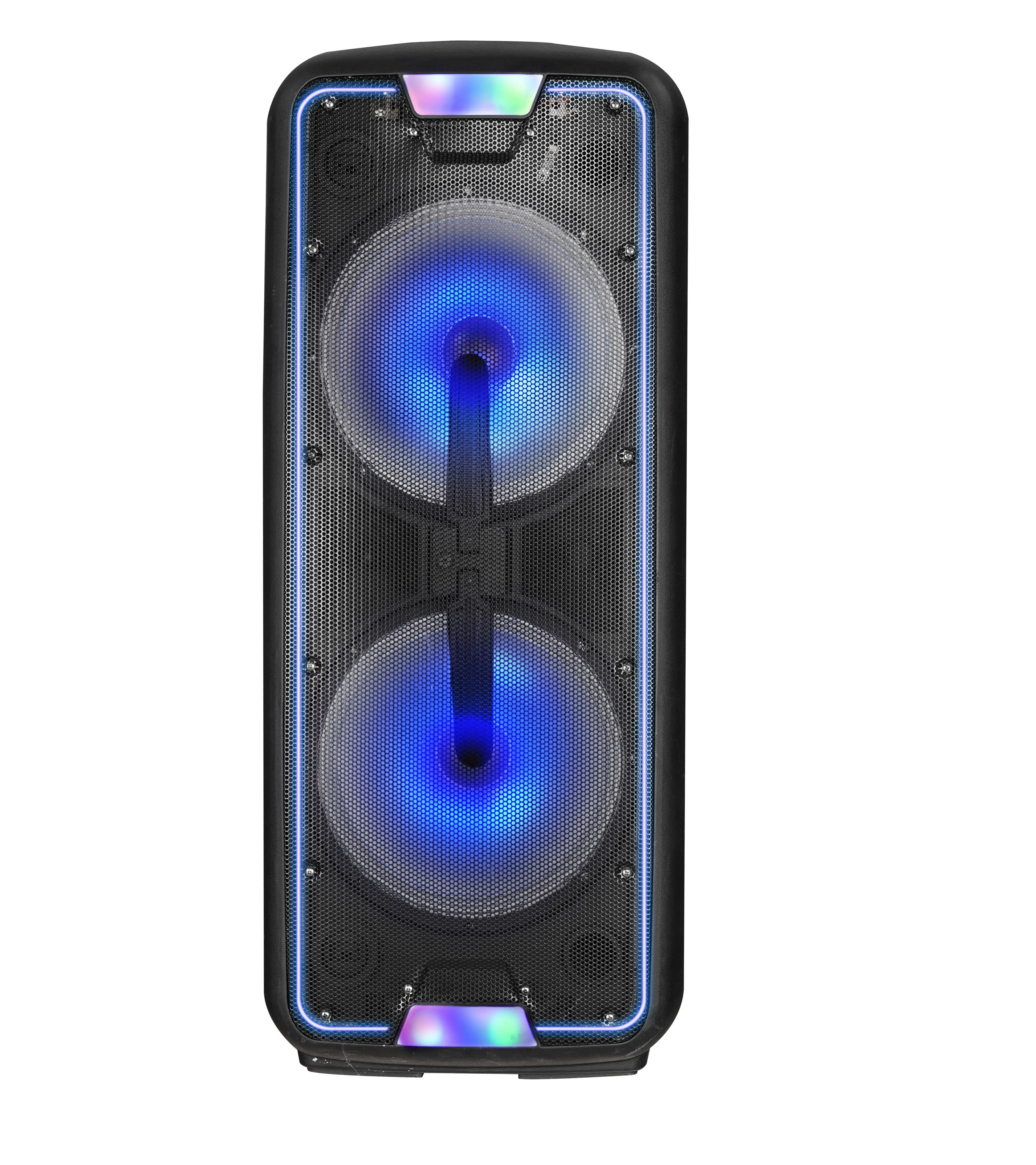 Double 12 inch Party Speakers karaoke trolley portable speaker With LED Display
