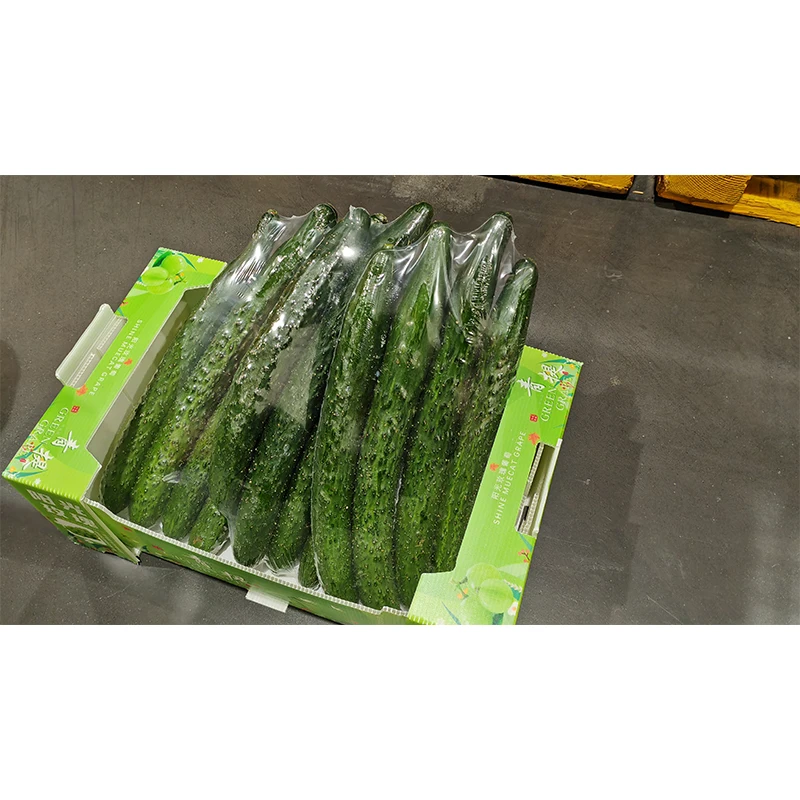 Yuexin Custom Size Banana Potato Orange Corrugated Shipping Box Ply3 5 Cardboard Paper Carton Waterproof PP SPC Handle Folder