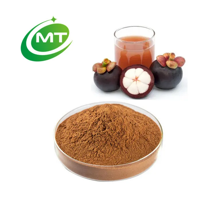 Garcinia mangostana L ISO бесплатный образец 100% чистый органический мангостин фруктовый порошок/экстракт 10:1/ 10%-90% для питьевой кожи