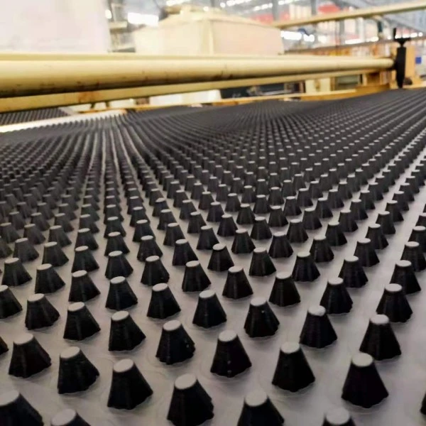 plastic dimpled foundation membrane dimple waterproof hdpe drain board waterproof dimpled drainage board