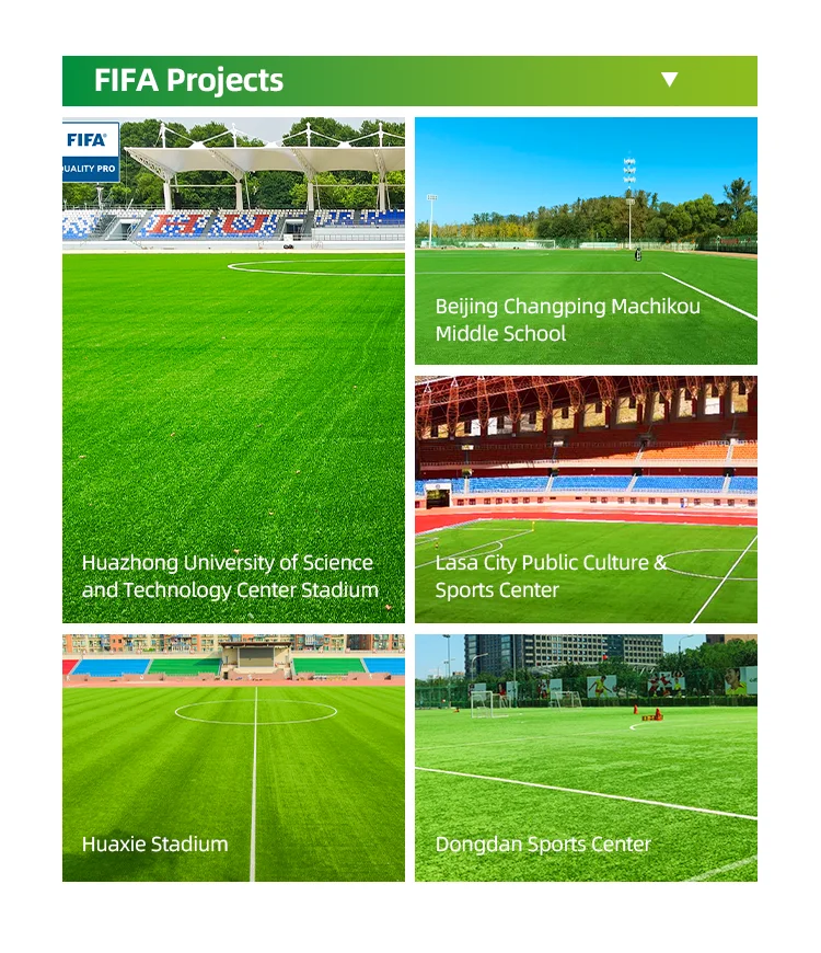 FIFA Projects.png