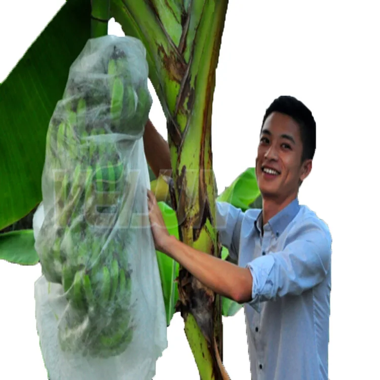 
Non Woven Fabric Fruit Protection Bags Banana Eco-feiendly 