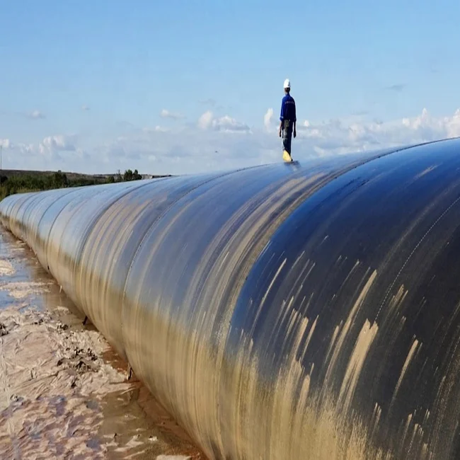 Geo Bag sand filled nonwoven geotextile geobags PP Woven Geotextile Geobag Geotube