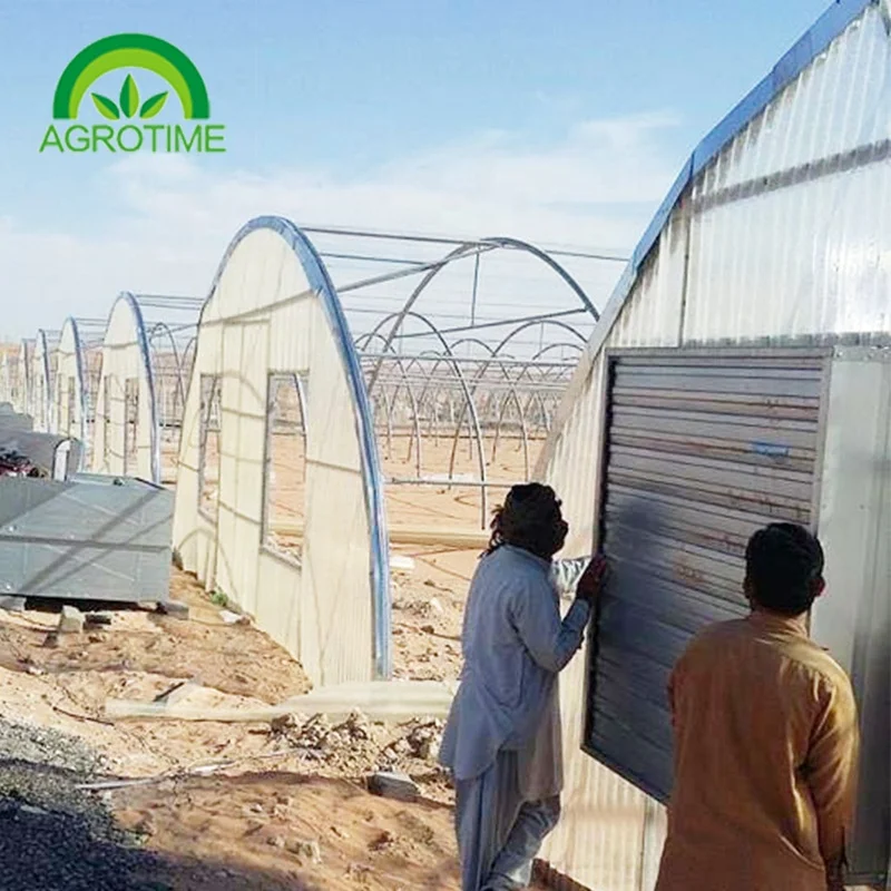  high-efficiency glasshouse agricultural production greenhouse Economical for