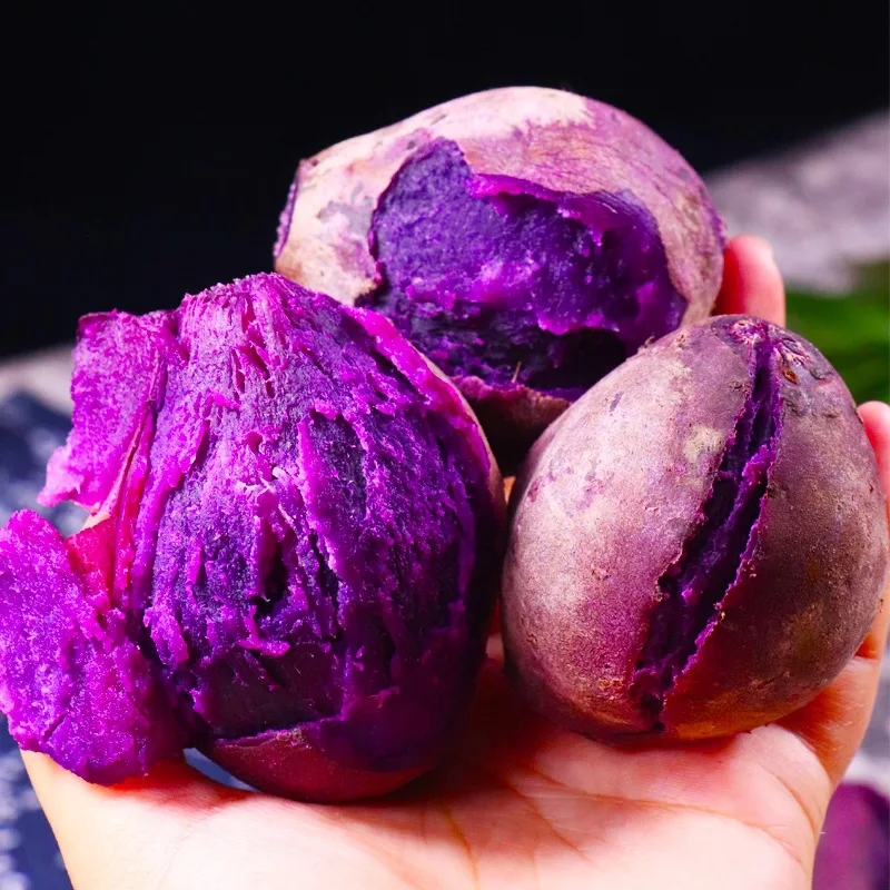 100% Fresh Purple Sweet Potatoes Fresh Style Common Potato With Best Price High Quality