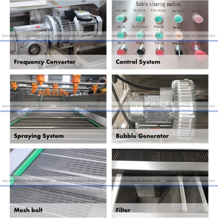 Air Bubble Ozone Fruit And Vegetable Salad Washer Jujube Cleaning Line Citrus Washing Machine
