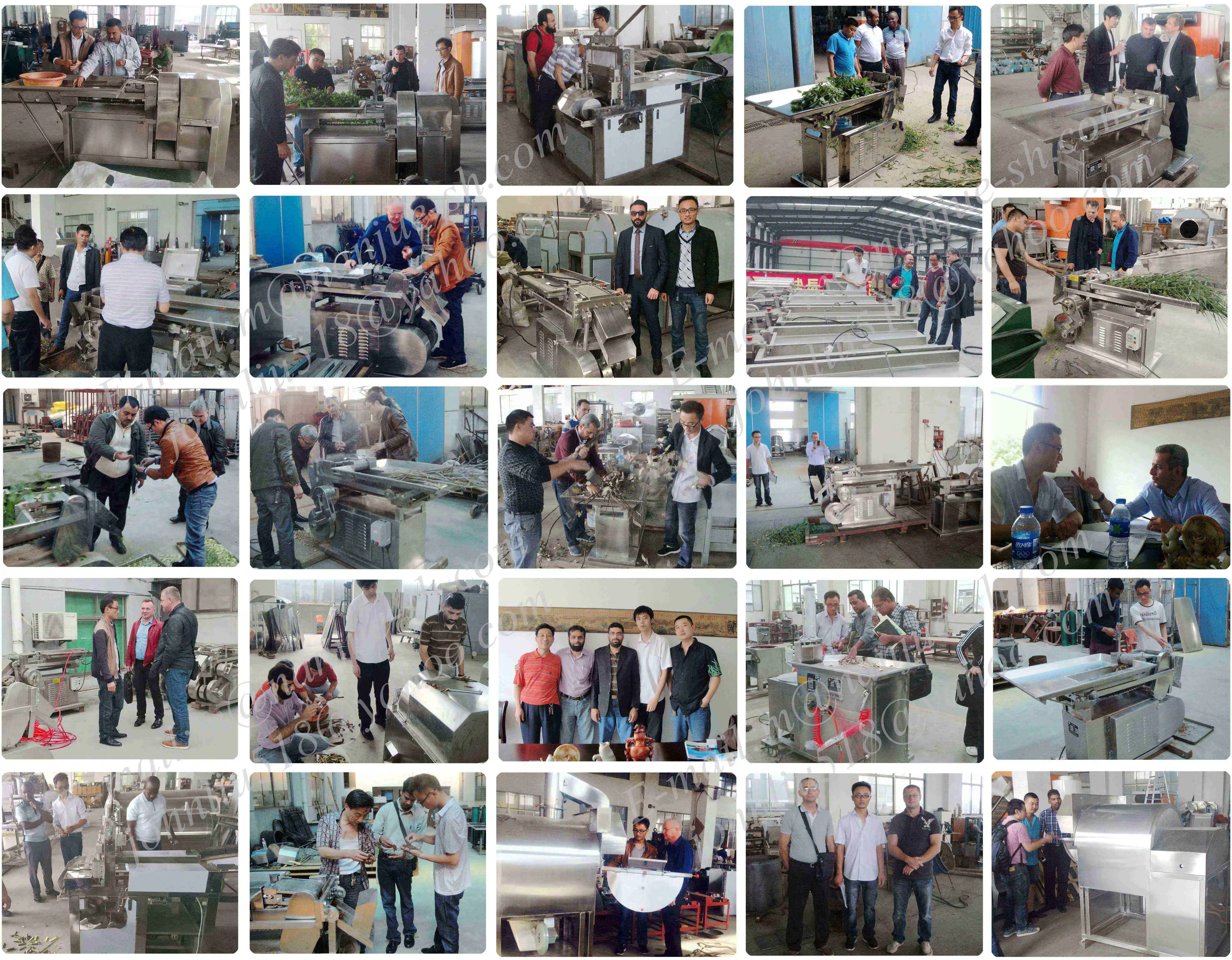 herb medicine manufacturing machine licorice cutting machine