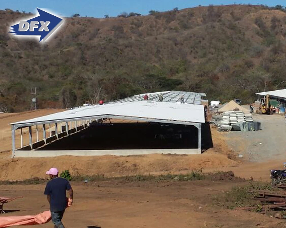 Wholesale Quick Install H Beam Steel Workshop/prefab Steel Structure Warehouse/hall/hanger Chicken Farm Poultry House