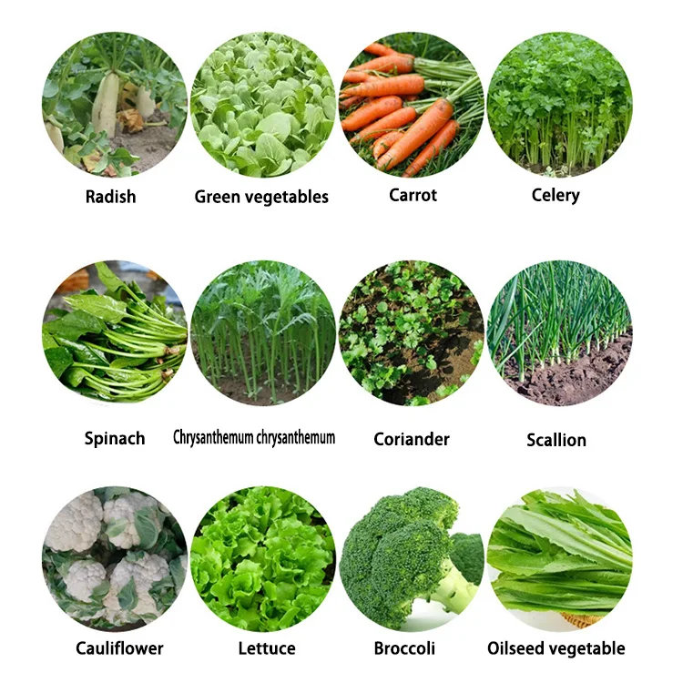 Small Farm Corn Planter and Fertilizer Small Granular Seed Vegetable Planter Single Row Seed Planter