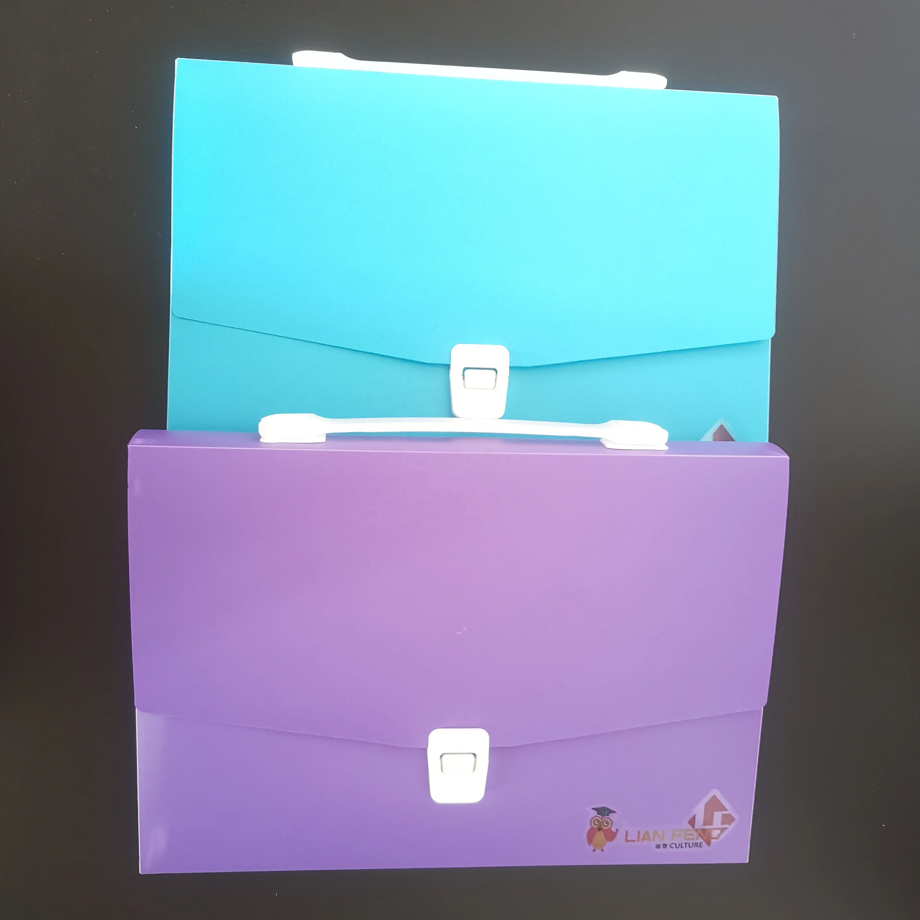 
Портативный файл A4, папка из полипропилена, мягкая ручка, экшн-кейс 