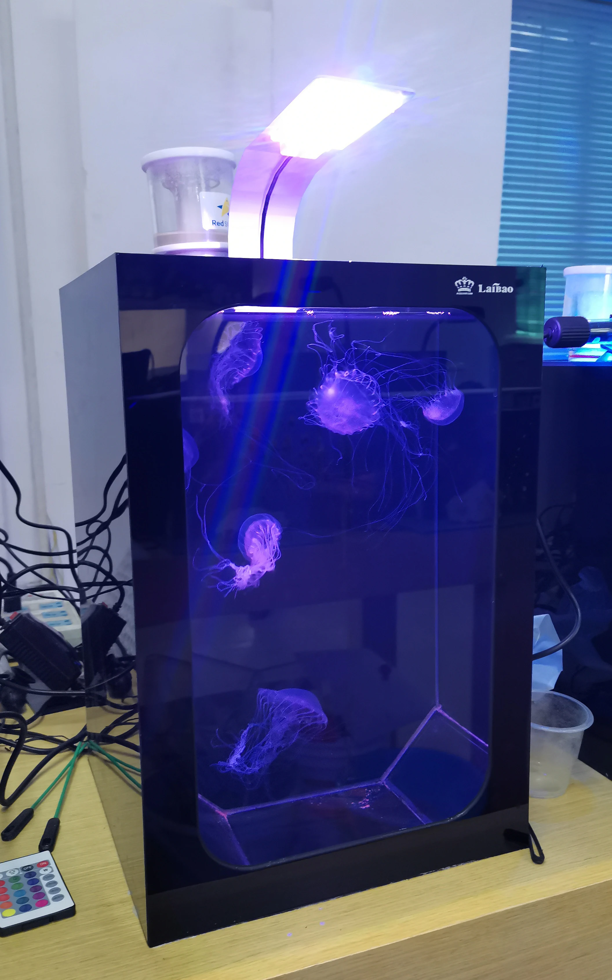 jellyfish aquarium   fish tank glass biofloc fish farming tank