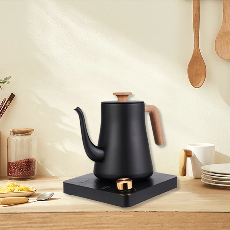 Electric Gooseneck kettle 1L stainless steel teapot Gooseneck pouring kettle