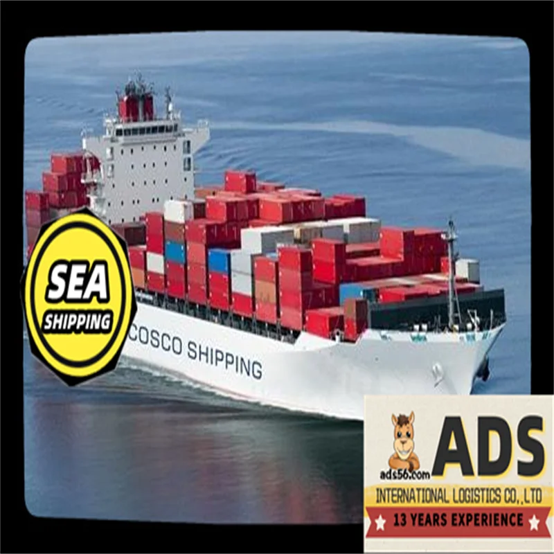 China to Russia Sea shipping services Top Sea Shipping agent